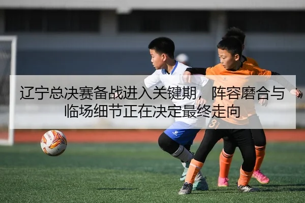 liao-ning-zong-jue-sai-bei-zhan-jin-ru-guan-jian-qi-zhen-rong-mo-he-yu-lin-chang-xi-jie-zheng-zai-jue-ding-zui-zhong-2-504.jpg