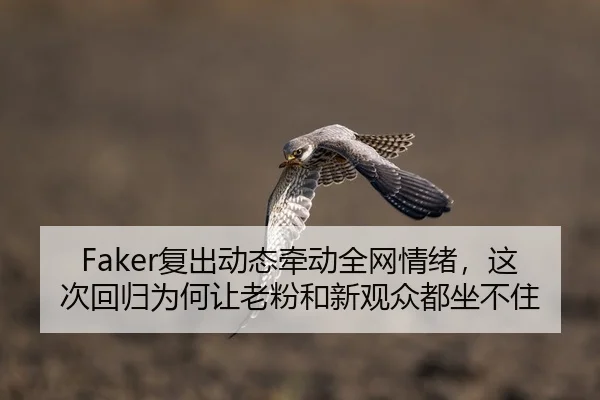 Faker复出动态牵动全网情绪，这次回归为何让老粉和新观众都坐不住